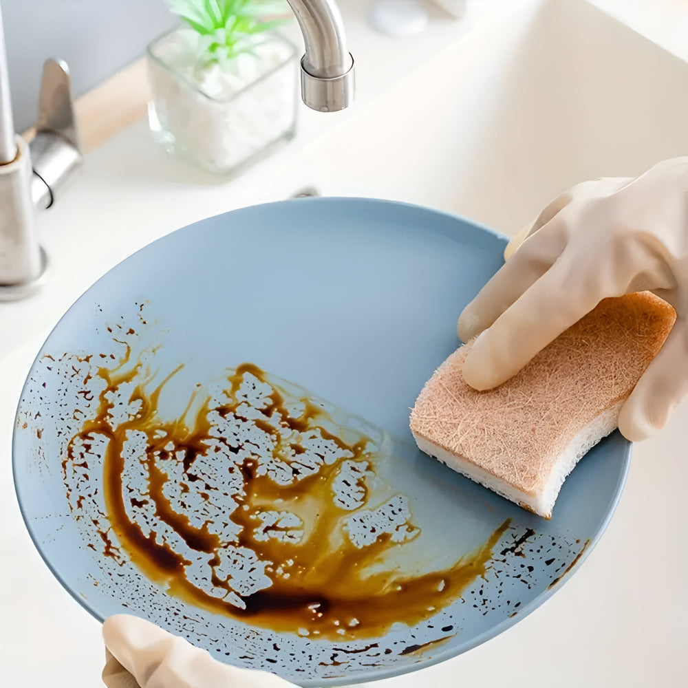 Coconut Fiber Natural Dish Sponge