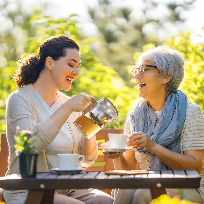 TeaVista® | Premium Teapot