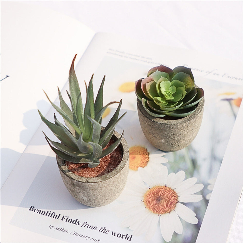 Verdea Artificial Succulent Plant Decor
