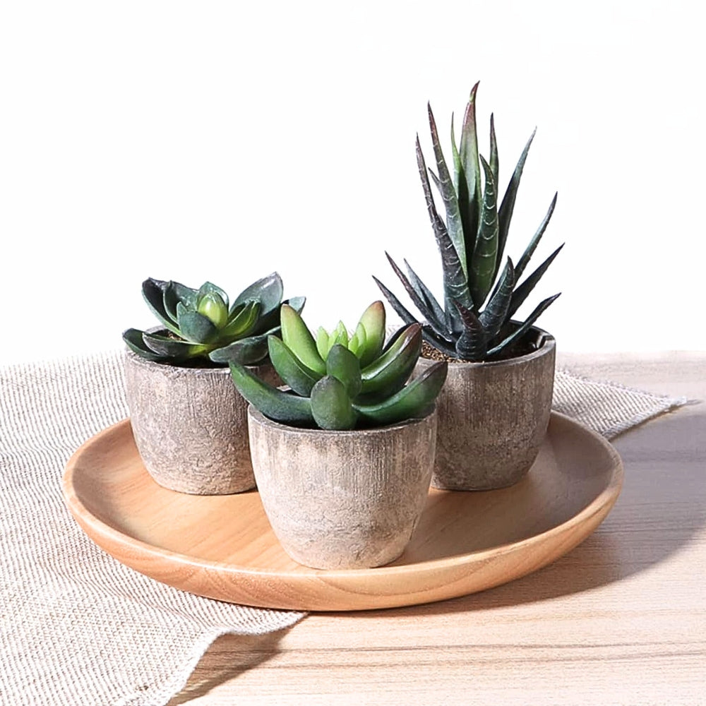 Verdea Artificial Succulent Plant Decor