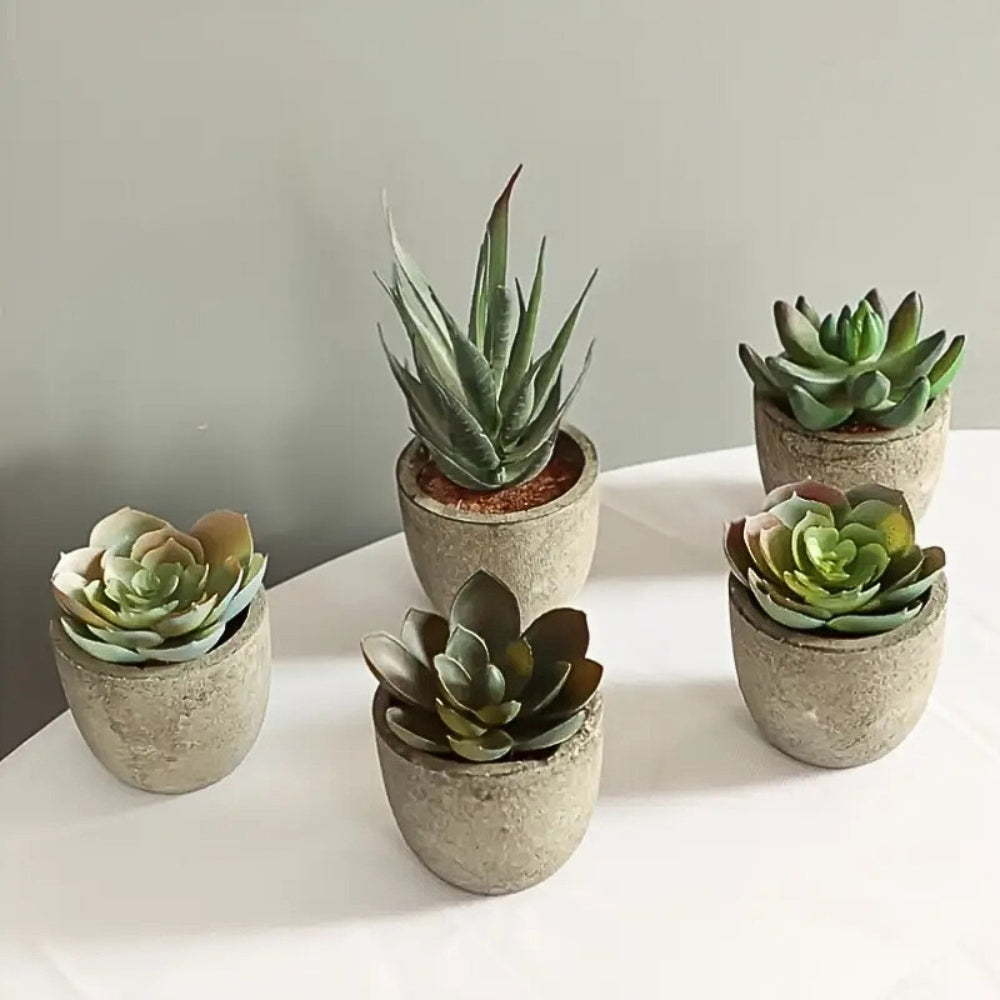 Verdea Artificial Succulent Plant Decor