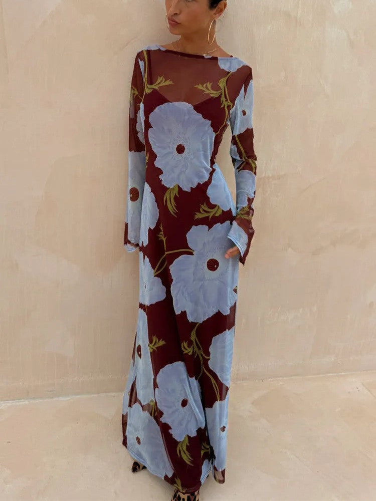 Floral Print Sheer Mesh Maxi Dress