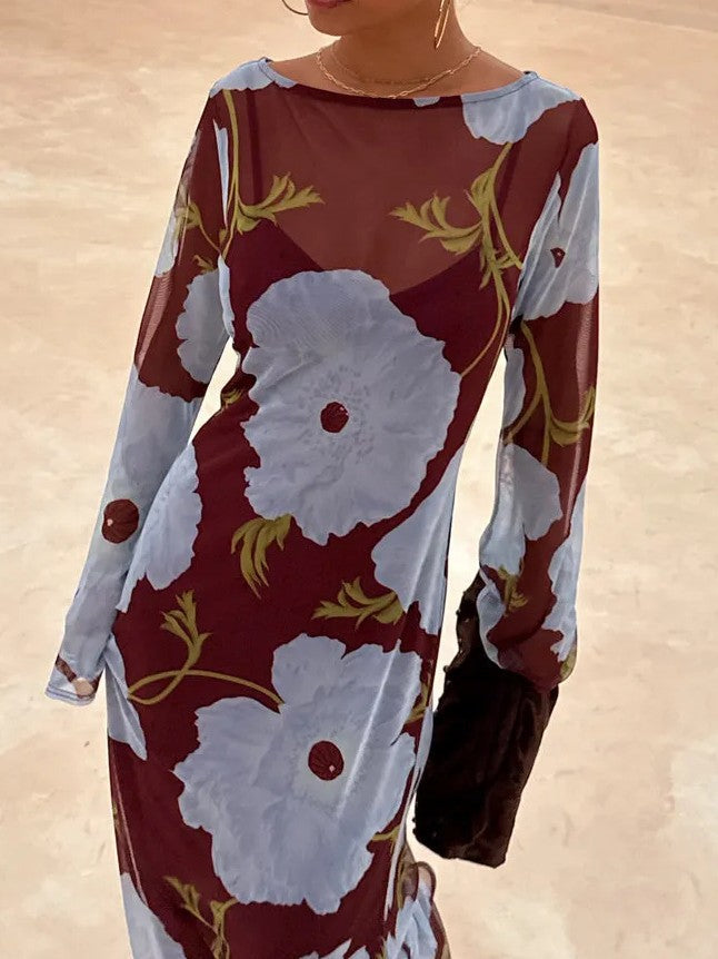 Floral Print Sheer Mesh Maxi Dress