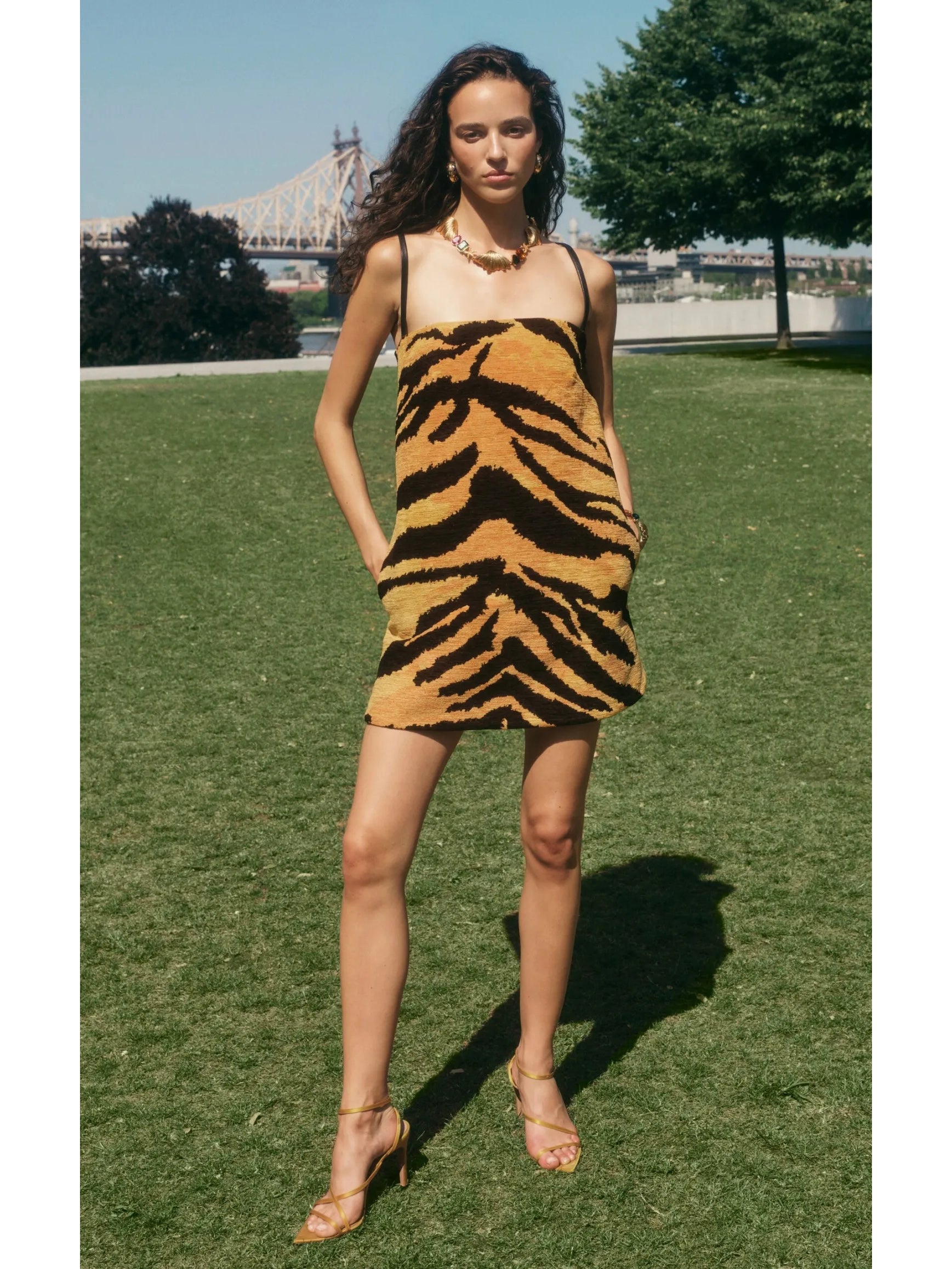Chenille Tiger Jacquard Mini Dress