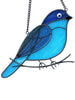 Bluebird Serenity
