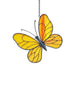 Beautiful Butterfly