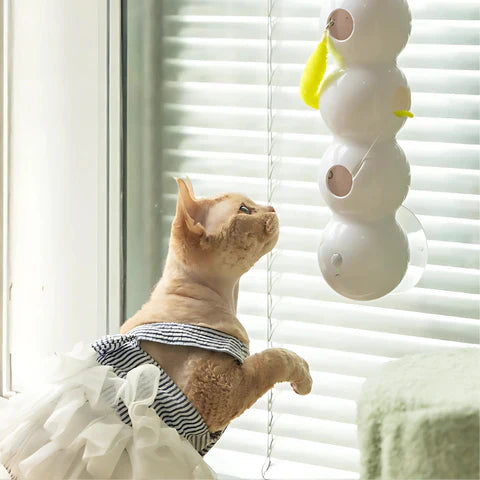 WhiskerTwist® Interaktives Katzenspielzeug