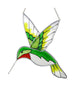 Hummingbird 