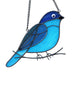 Bluebird Serenity