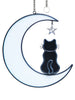 Cat on the Moon