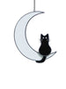 Kitty on the Moon