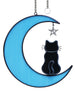 Cat on the Moon