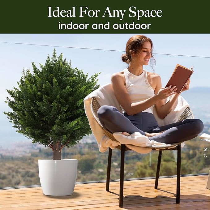 CedarLux® | Zedern Kugelbaum