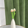 Elegant Soft Velvet Curtain Drapes