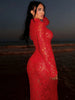 Sheer Lace Turtleneck Dress