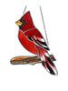 Red Feathered Bird