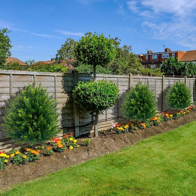 EverCedar® UV-Resistant Topiary Ball Tree