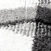Soft Microfiber Non-Slip Geometric Rug