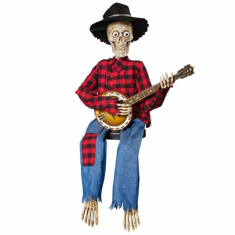 BanjoBoogie® | Decorative banjo duo