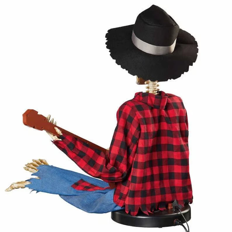 BanjoBoogie® | Decorative banjo duo