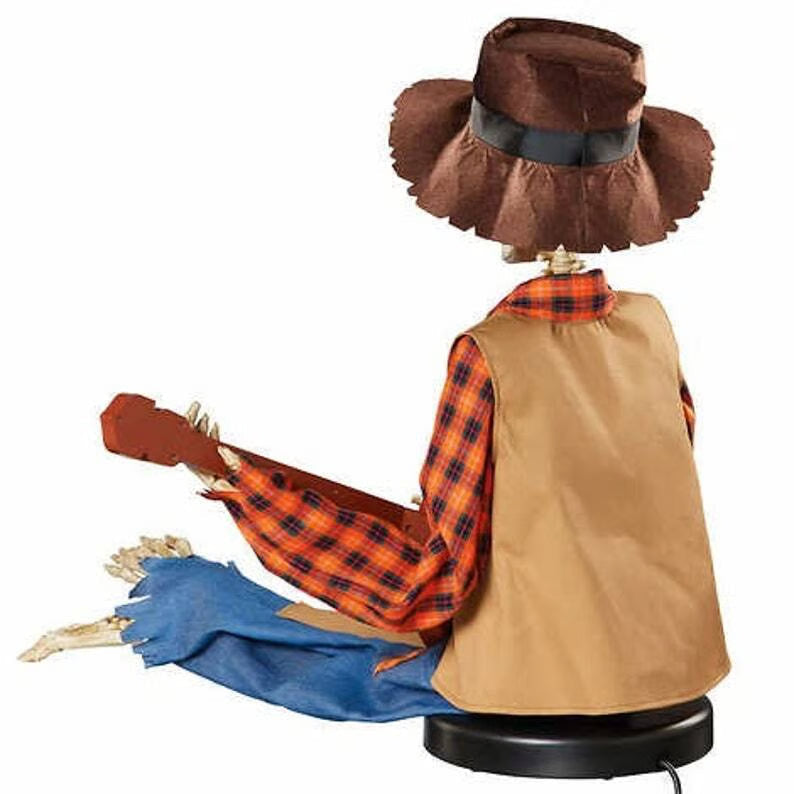 BanjoBoogie® | Decorative banjo duo