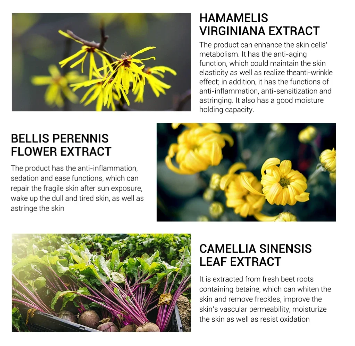 1+1 FREE | Zenvada™ | Magic pore remover