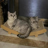 Cat scratching post – Durable sisal – Moisture-resistant design – Stable anti-slip base