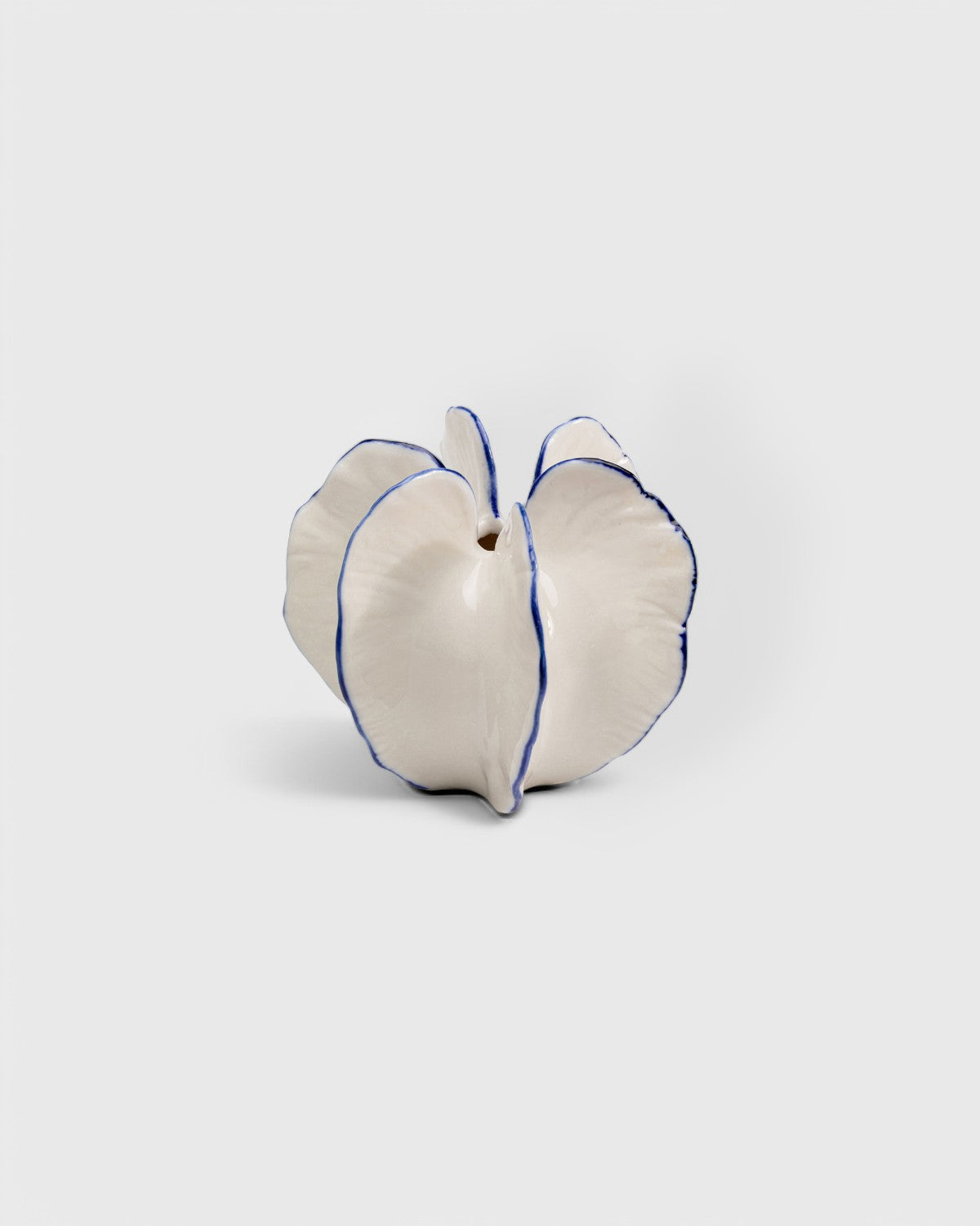 Ceramic vase – Elegant finish – Modern design – Perfect for dried flowers or home decor