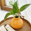 Ceramic vase – Vibrant orange – Hydroponic-friendly – Stylish decor for living room or office