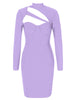 Sexy Hollow Backed Long Sleeve Dress