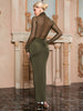 High Collar Sheer Fitted Dress