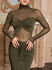 High Collar Sheer Fitted Dress