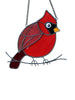 Red Feathered Bird