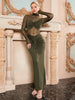 High Collar Sheer Fitted Dress