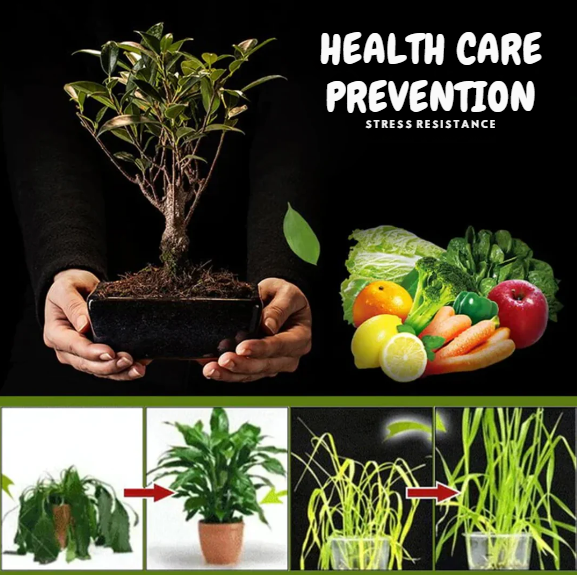 GrowBoost™ | The Secret to Thriving Plants, Eco-Friendly Soil Enhancement for Greener Gardens!