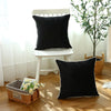 Velora Velvet Cushion Cover