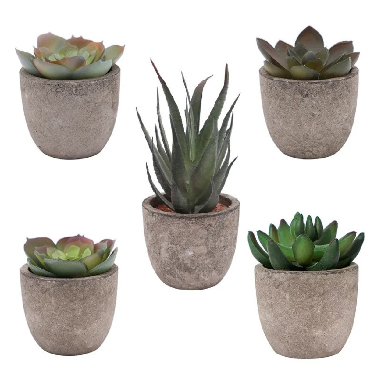 Verdea Artificial Succulent Plant Decor