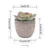 Verdea Artificial Succulent Plant Decor