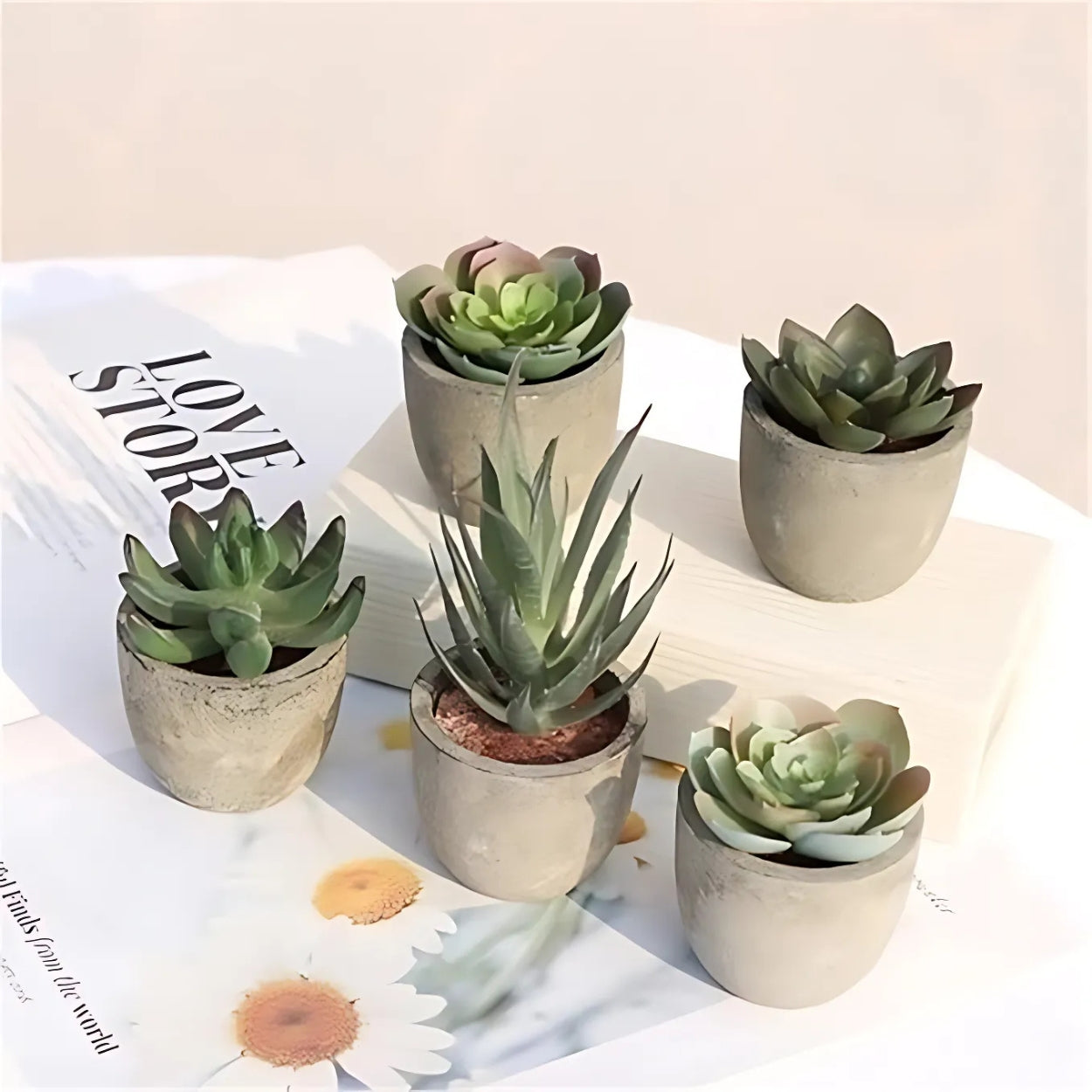 Verdea Artificial Succulent Plant Decor