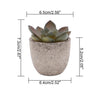 Verdea Artificial Succulent Plant Decor