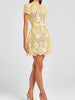 Embroidered Lace Belted Sheer Mini Dress