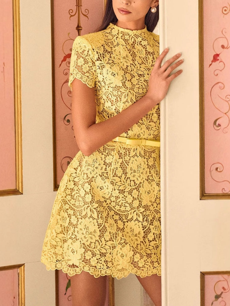 Embroidered Lace Belted Sheer Mini Dress